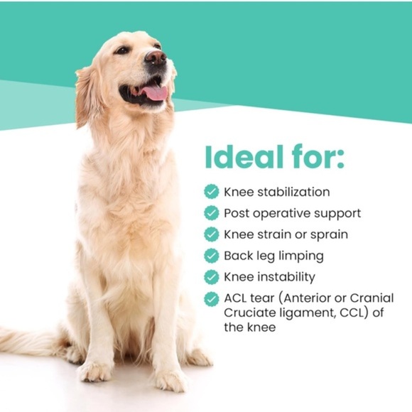 Dog Knee Brace for Torn ACL - Hind Leg‎ Support for Medium Breeds - Picture 4 of 8